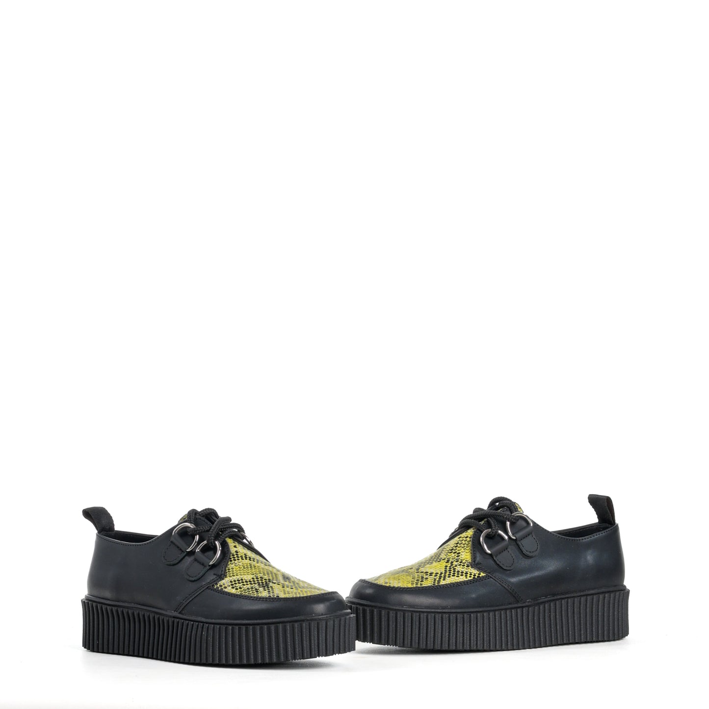 Creeper Rayas mesa vibora amarillo